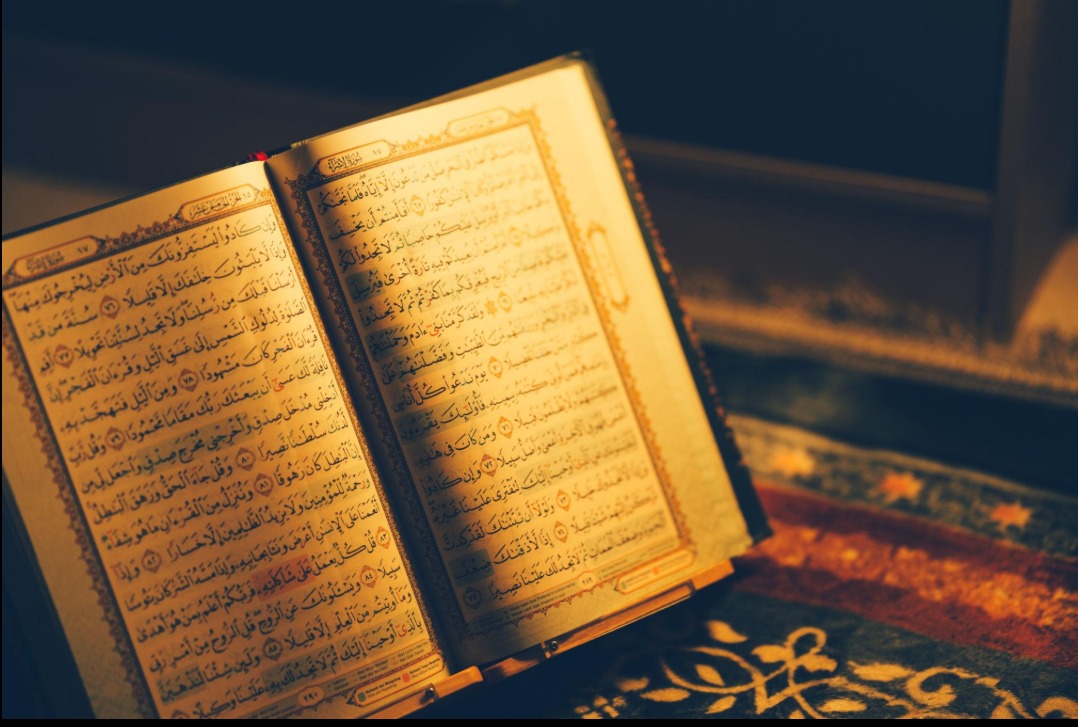 صورة